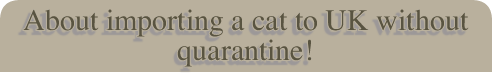 About importing a cat to