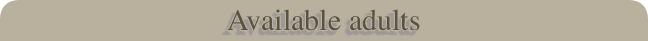 Available adults