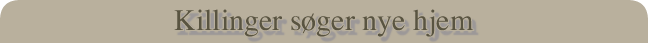 Killinger søger nye hjem