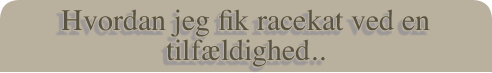 Hvordan jeg fik racekat ved