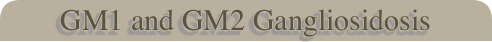 GM1 and GM2 Gangliosidosis